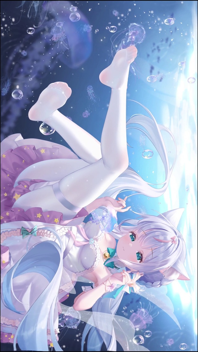海月