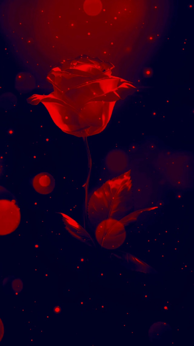 血红玫瑰放不下你