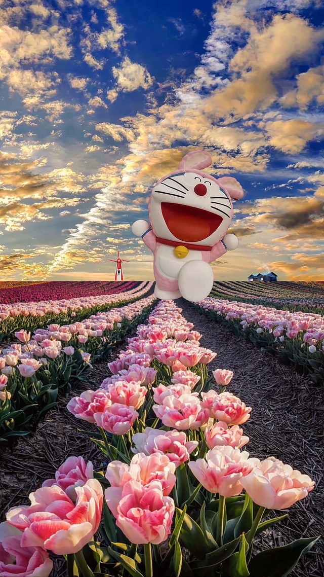 😊希望花海的尽头有你的所爱