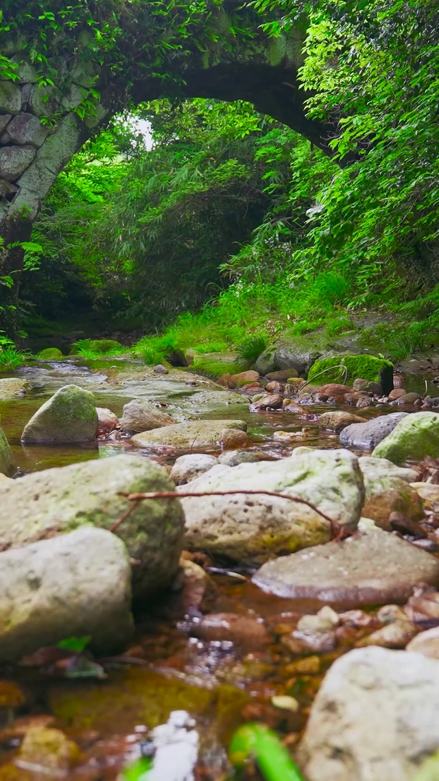 桥下山涧小溪流
