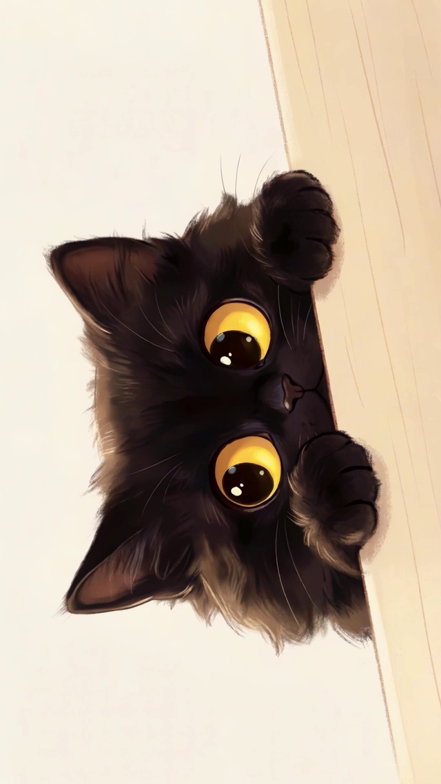猫猫观察中