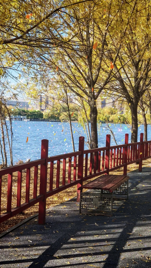 湖边落叶动态壁纸