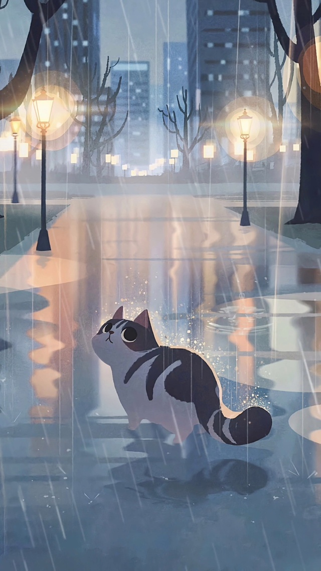 雨中猫猫漫步