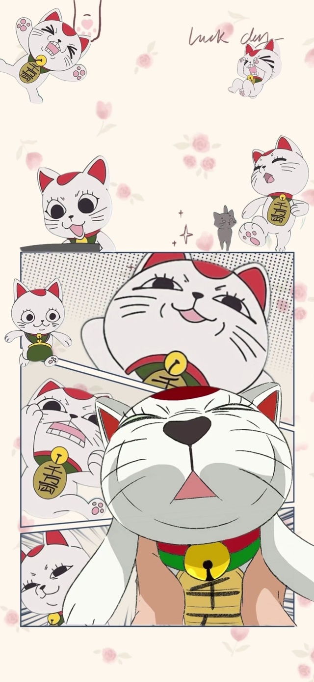 高速婆婆