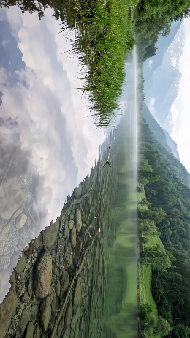 乡村的自然绿色河流