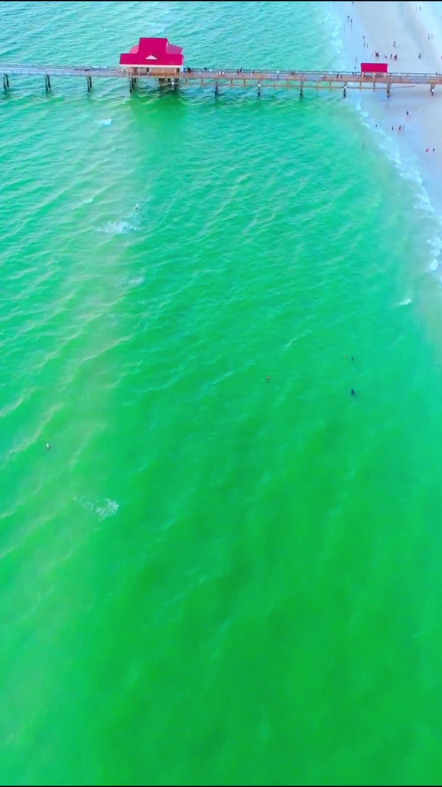 治愈大海沙滩4K