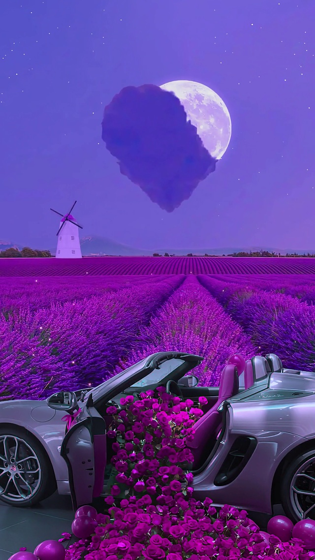爱心薰衣草花车