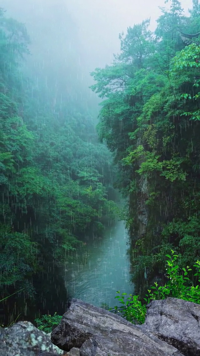 半山春雨半生忧，一杯清茶难入喉！山后本是清净地，奈何俗人一身愁！ 