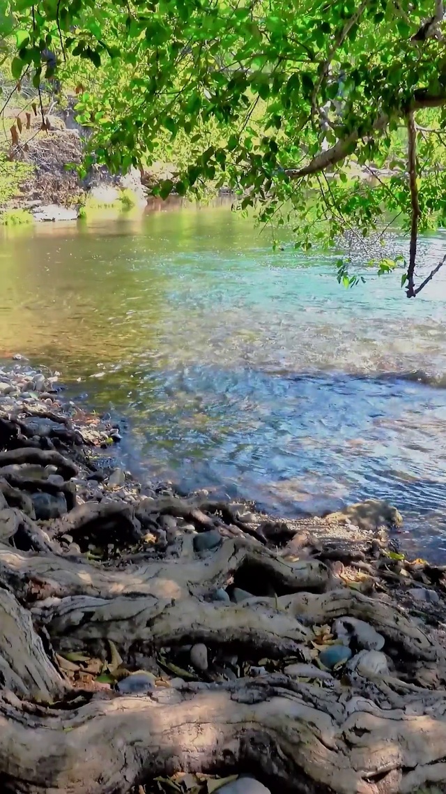 绿色自然风景