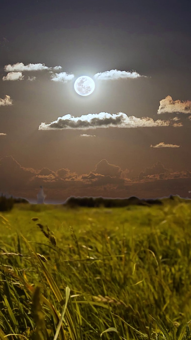 放下心中的浮躁