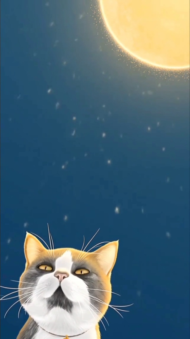 猫咪
