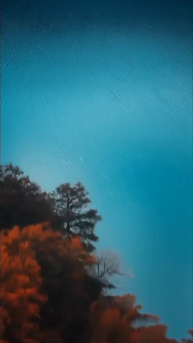 风景