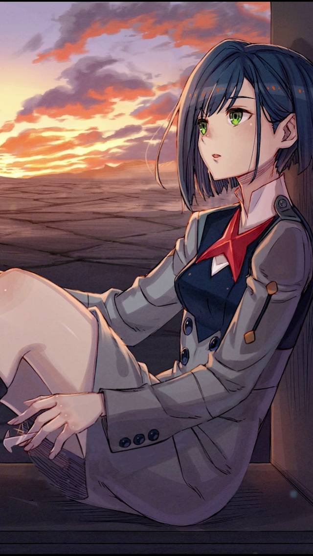 国家队 莓