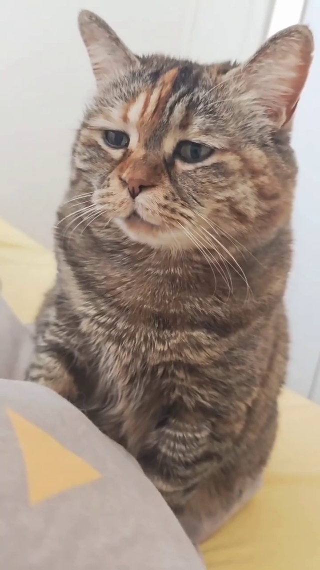 委屈