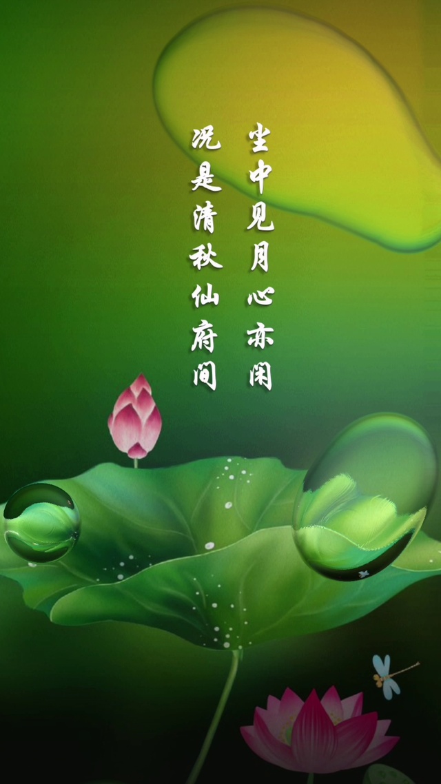 绿色荷叶