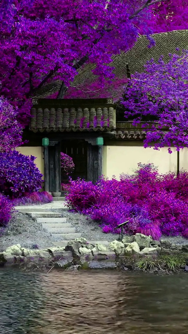 优美风景
