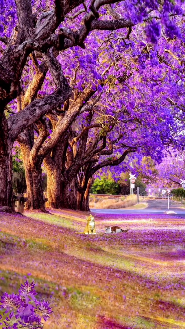 请珍惜所有的不期而遇