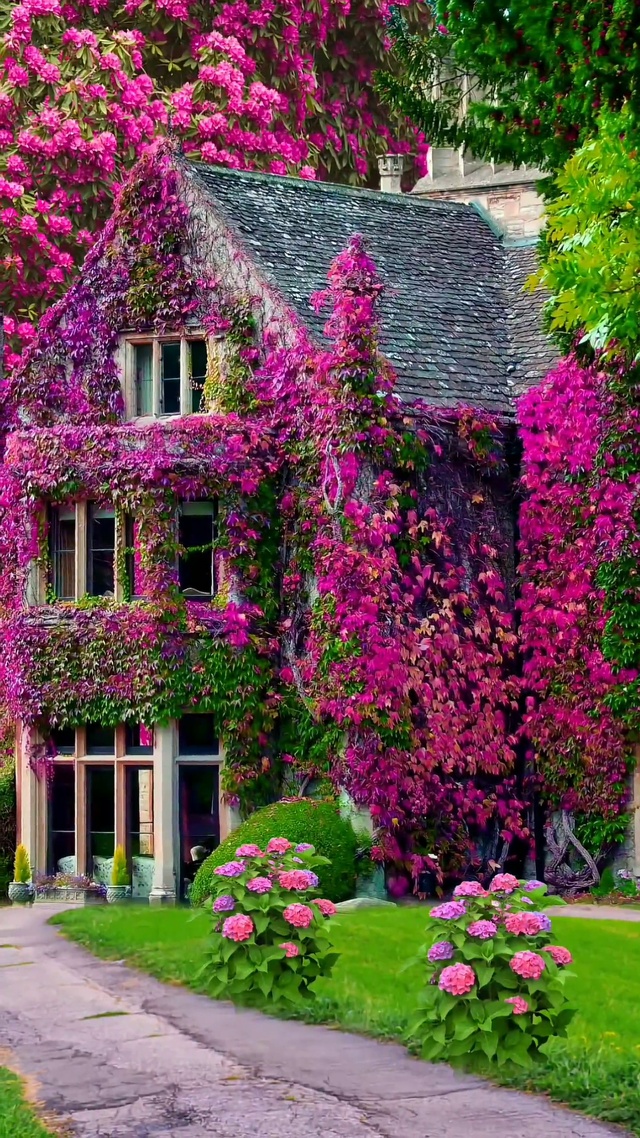 4k高清动态壁纸