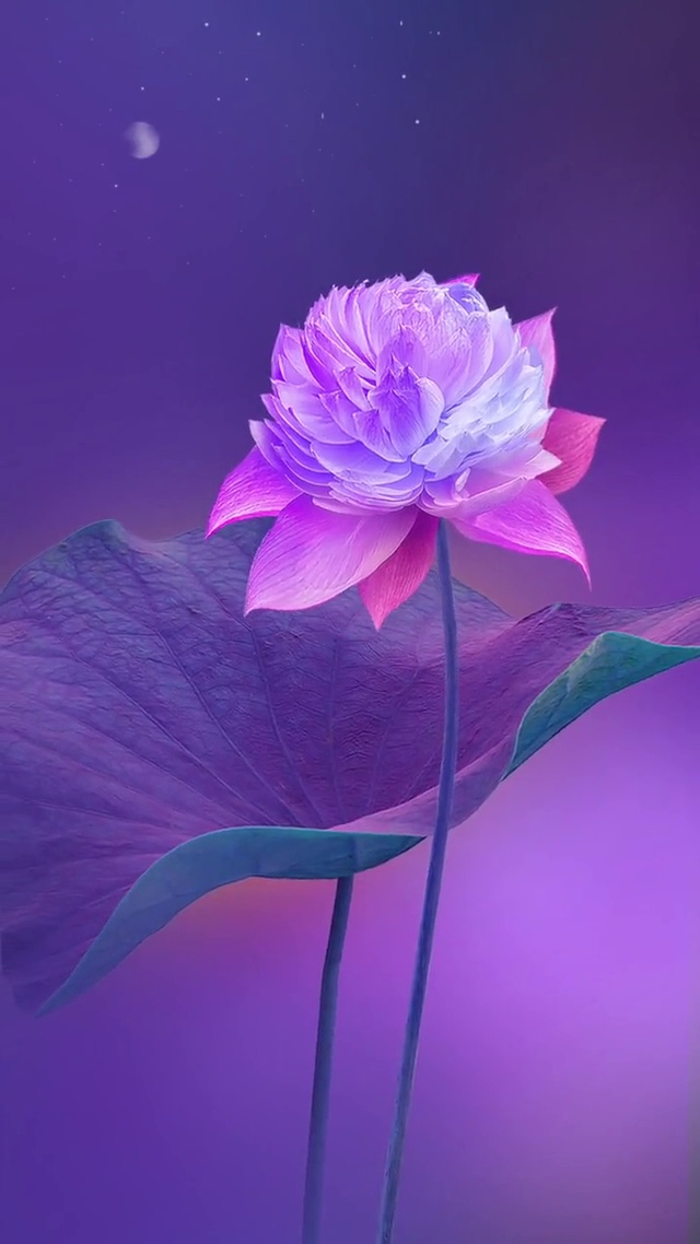 紫气东来，心想事成。