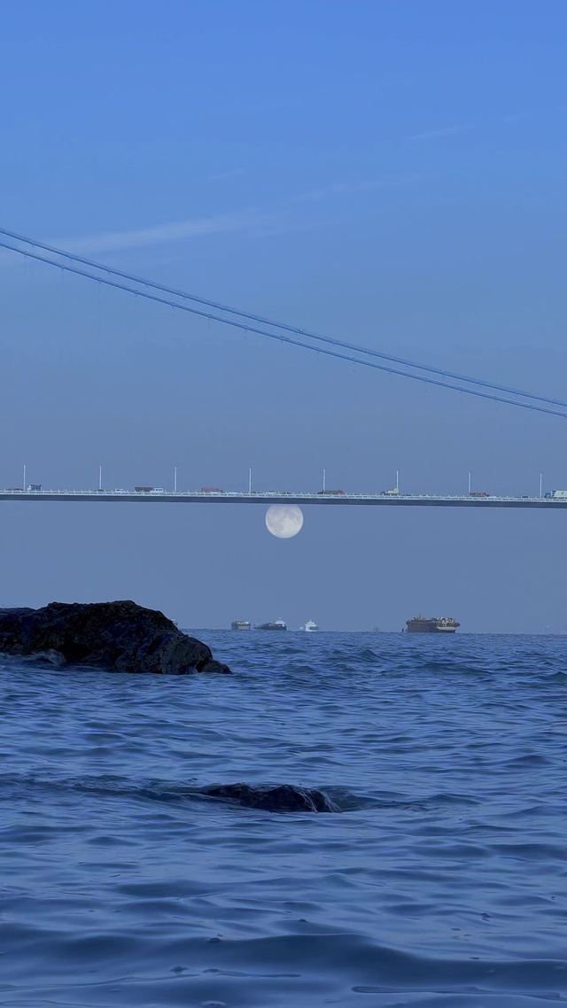 桥海月