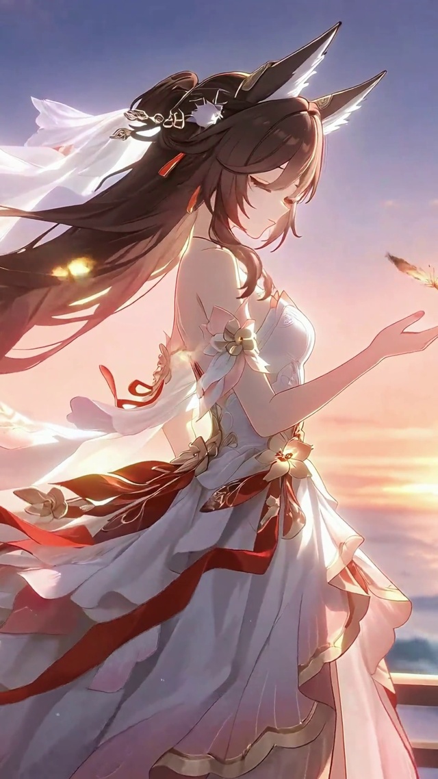 忘归人丨晚潮听风丨