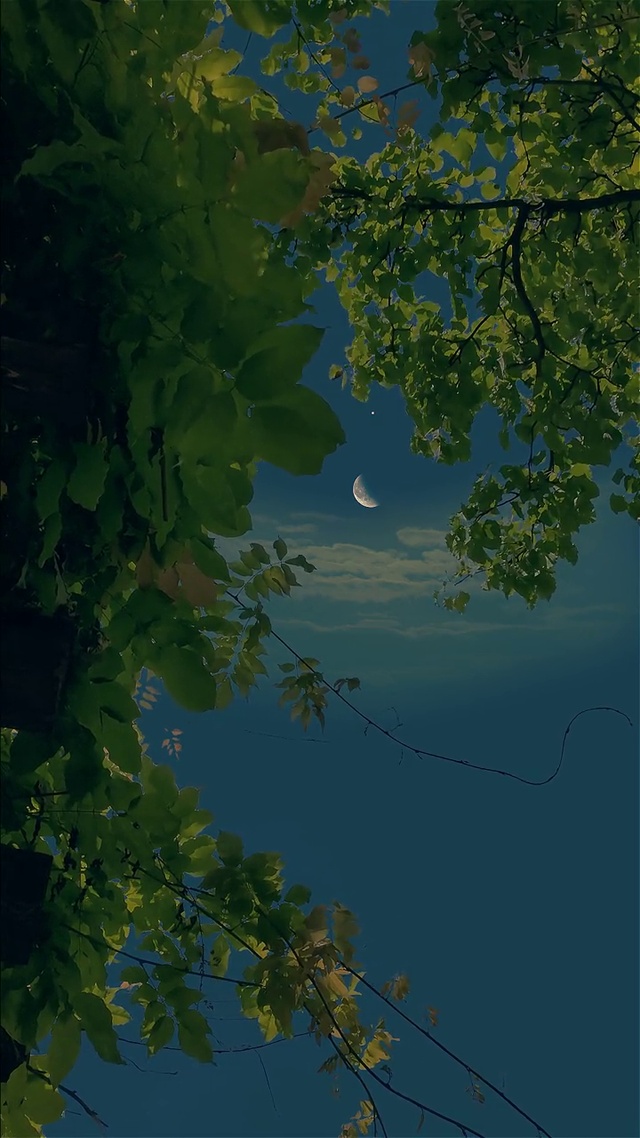 晚安(风景手机动态壁纸) - 风景手机壁纸下载 - 元气壁纸
