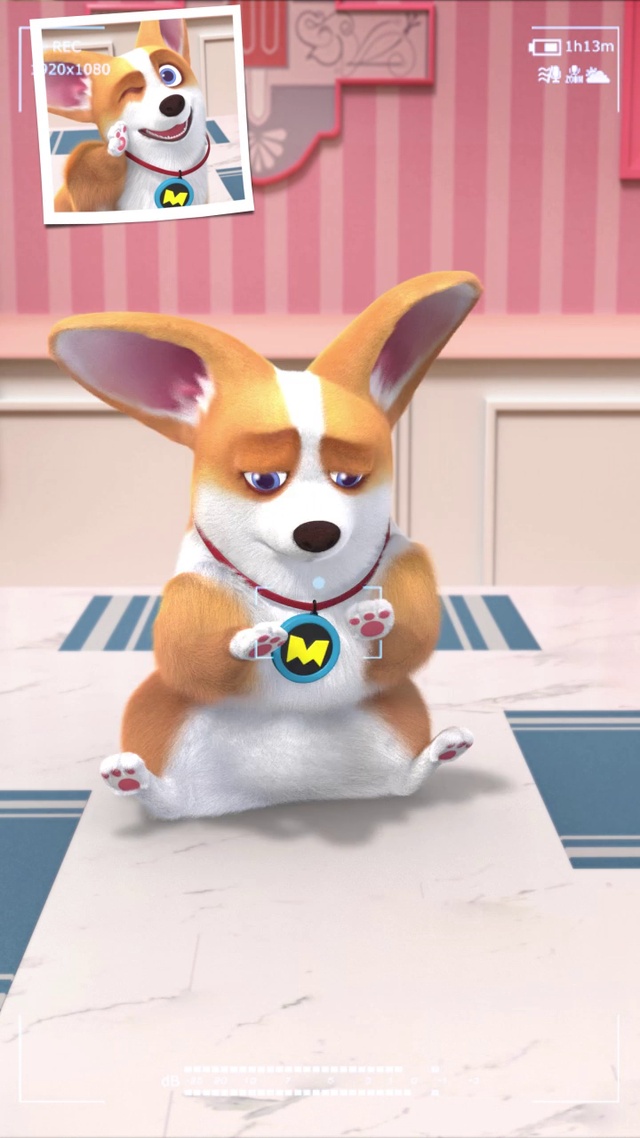 飞狗MOCO——抓拍舞