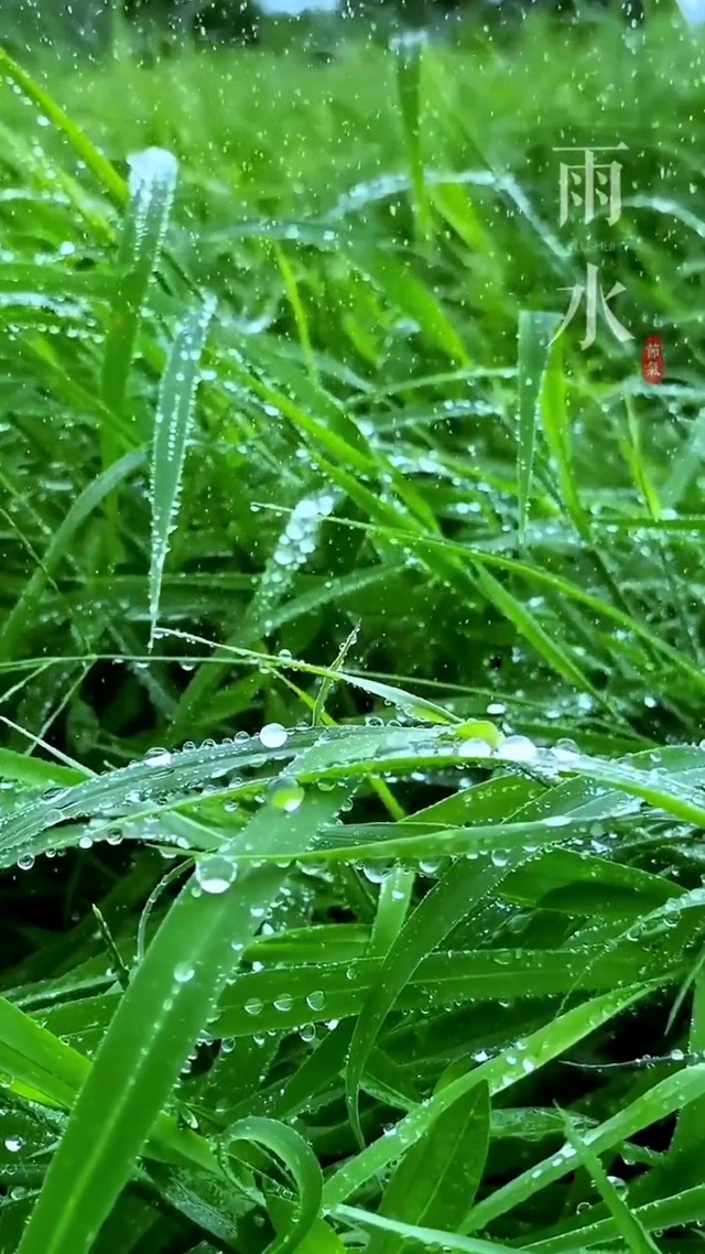 小雨知时节