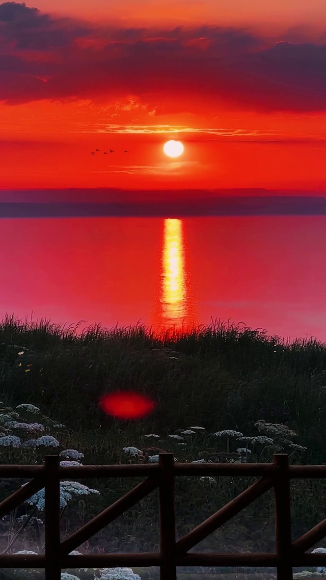 夕阳河岸边