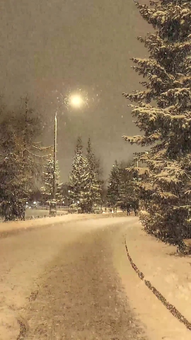 夜晚下雪壁纸