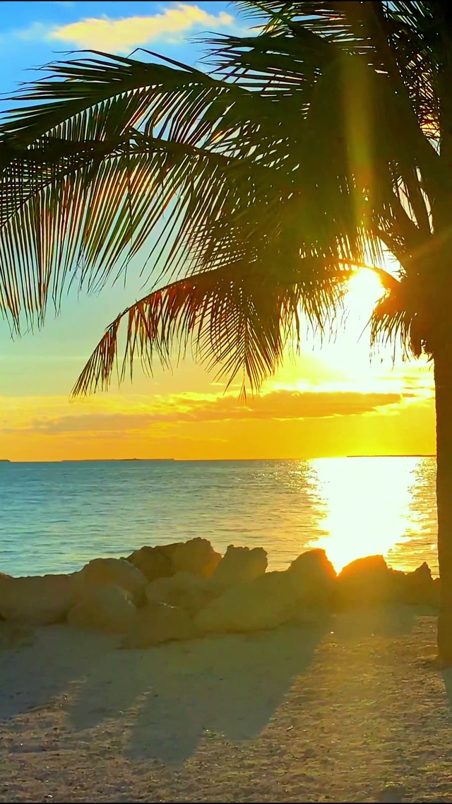 唯美夕阳海滩4K