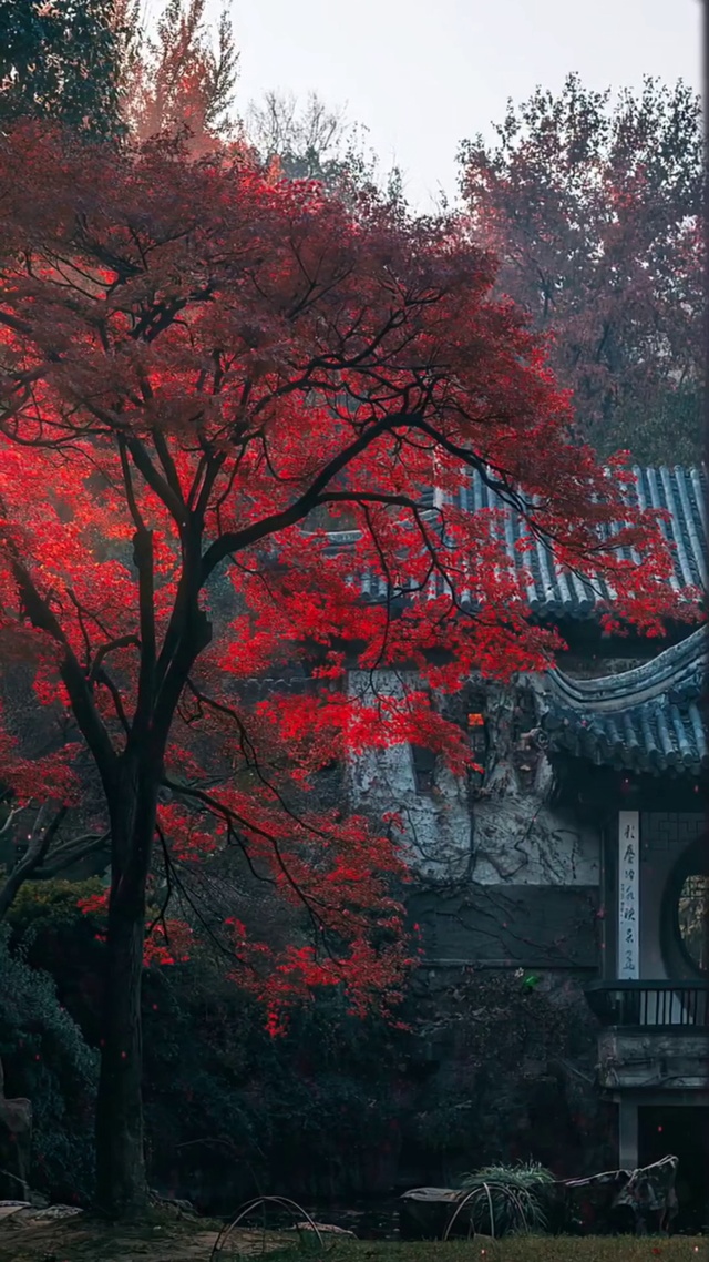 花开花落终有时，人来人往皆不遇