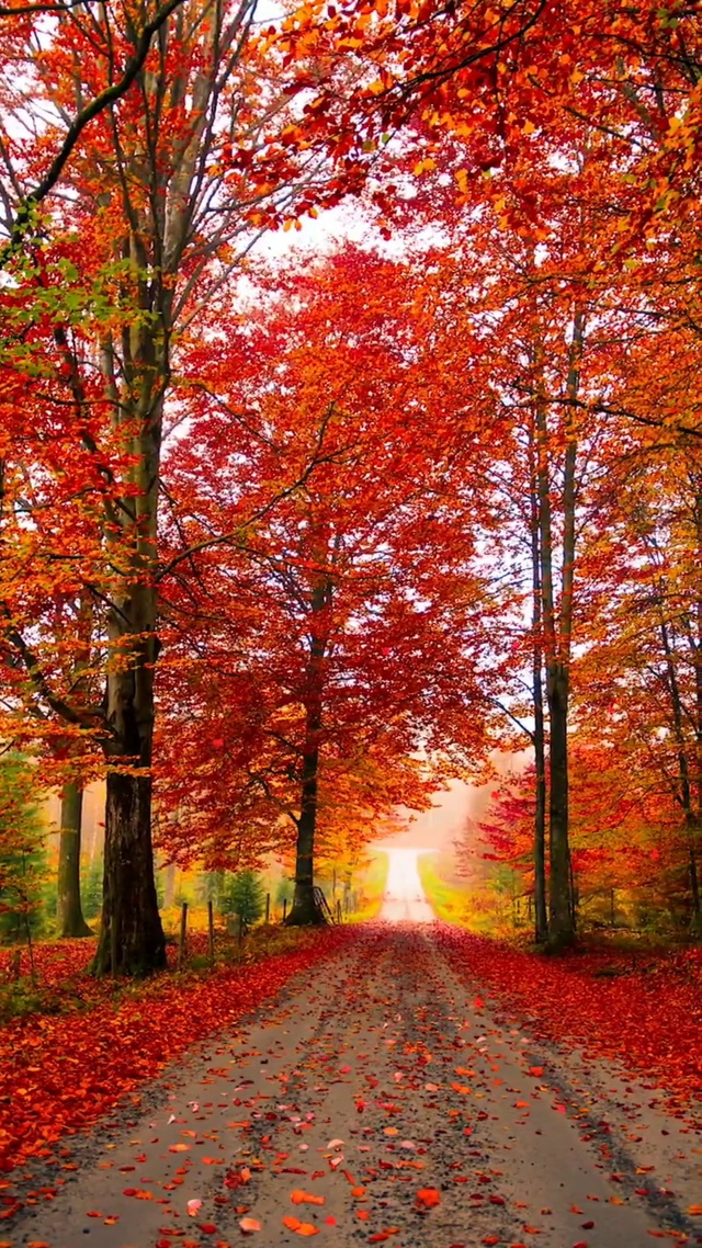 愿所有美好如期而至