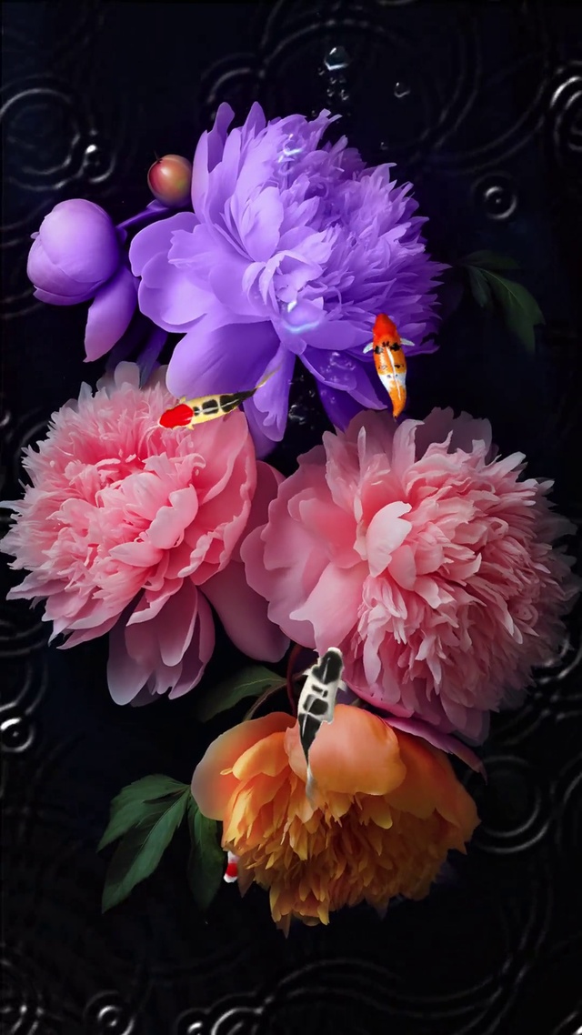 鱼为灵，水为财