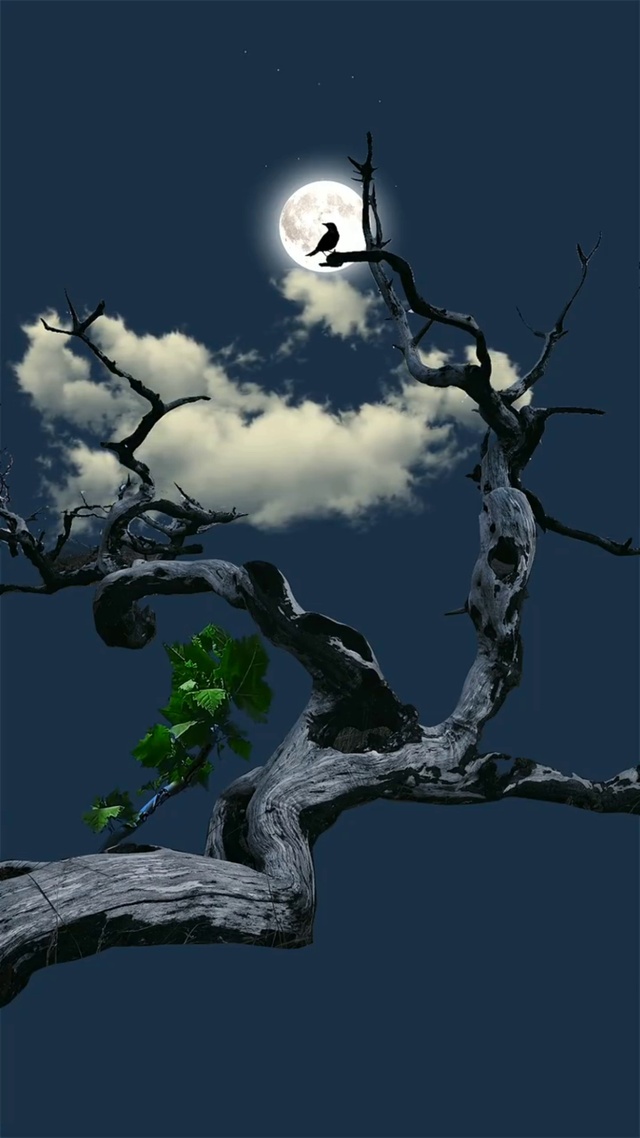 静谧的夜里，你是我藏在微风里的欢喜