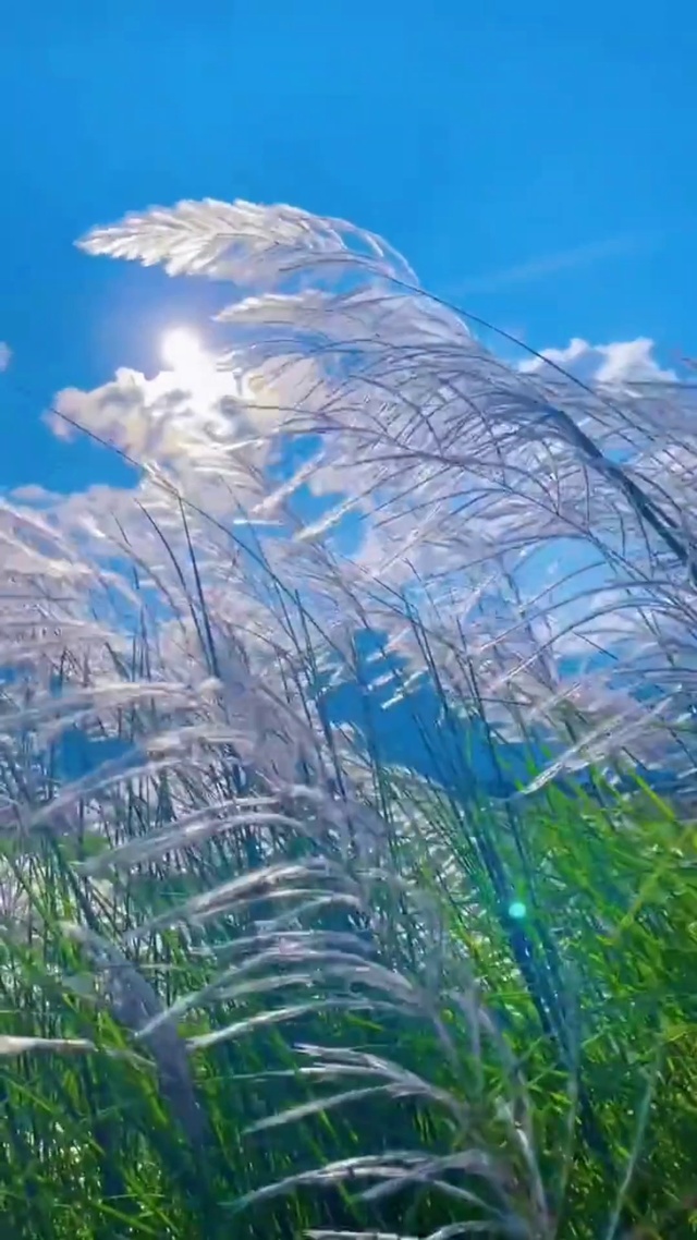 我与神明画押，赌你会心动瞬间