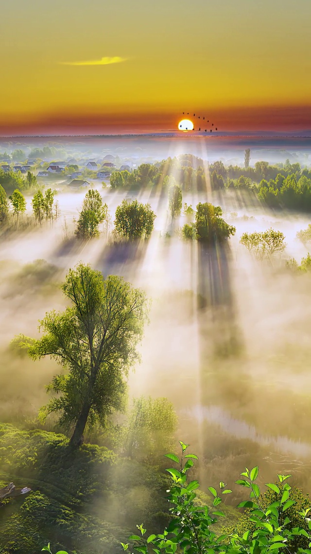 夕阳西下几时回