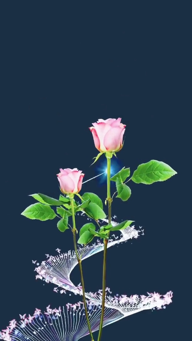 世界很大，幸福很小