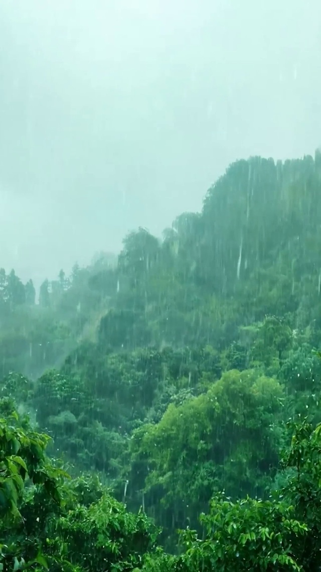护眼雨天
