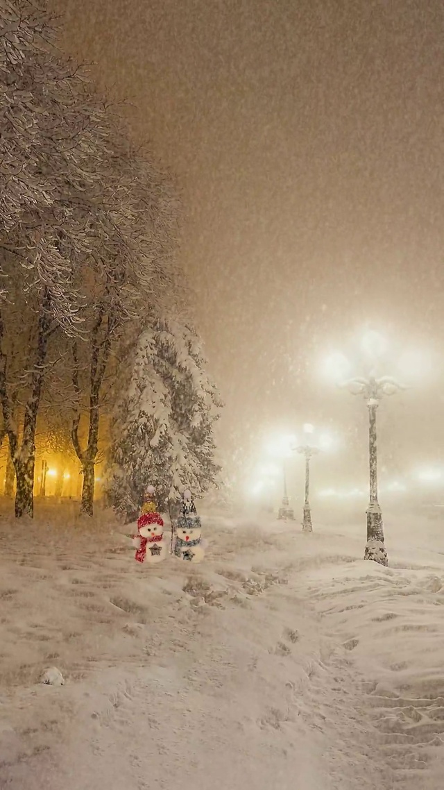 爆款夜晚下雪壁纸