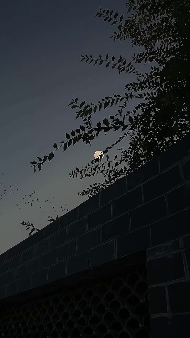 夜空微风