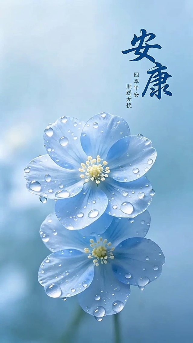 安康