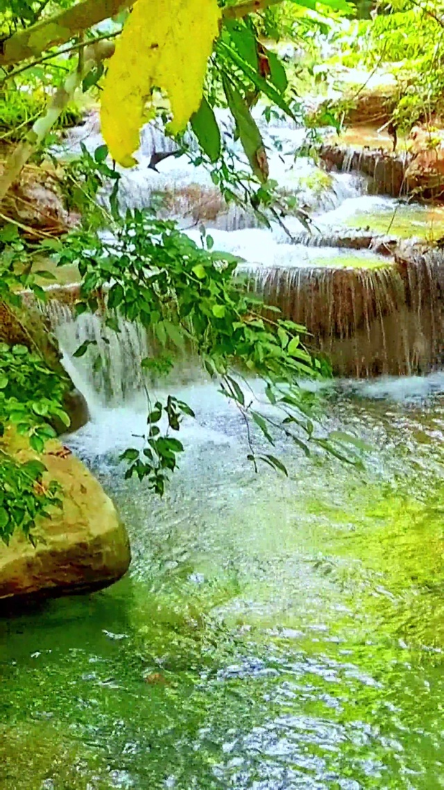 治愈山间小溪流水4K