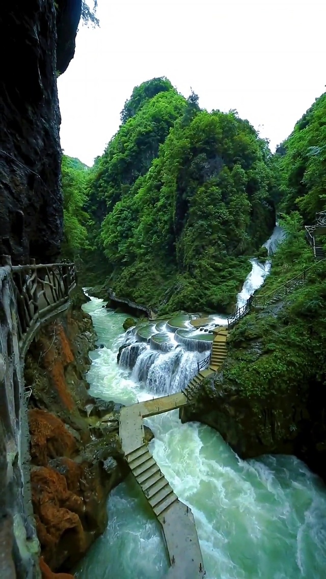 山清水秀 鸟语花香