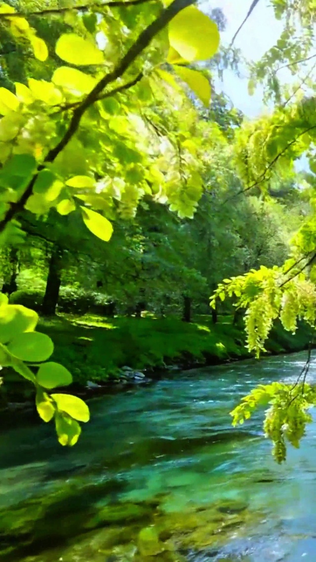 唯美治愈小河4K