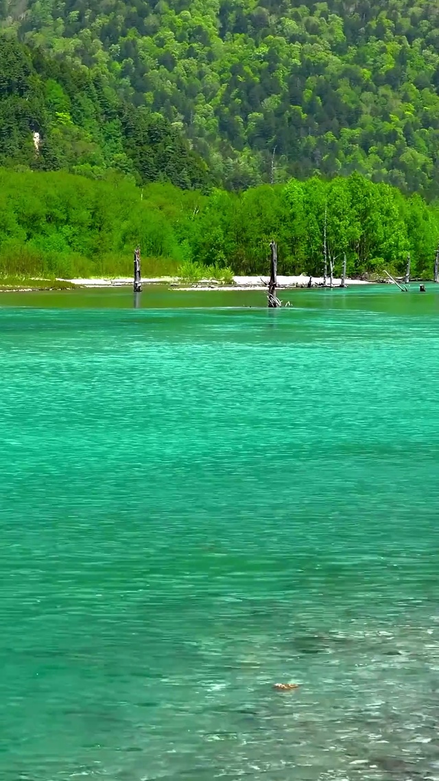 青山绿水河流