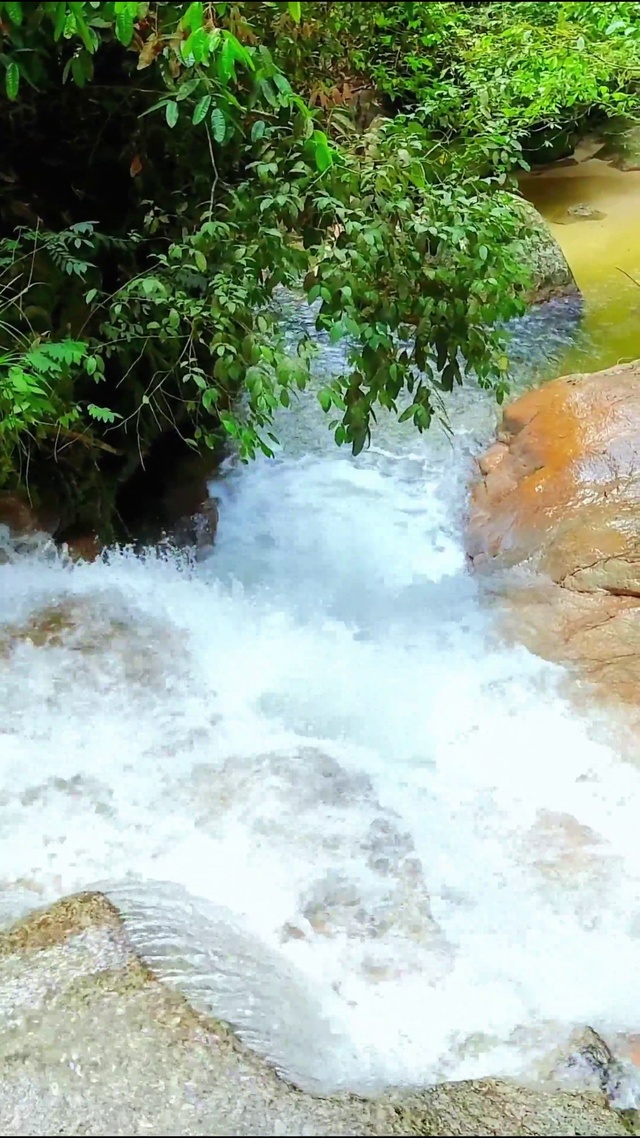 清凉山间小溪 4K