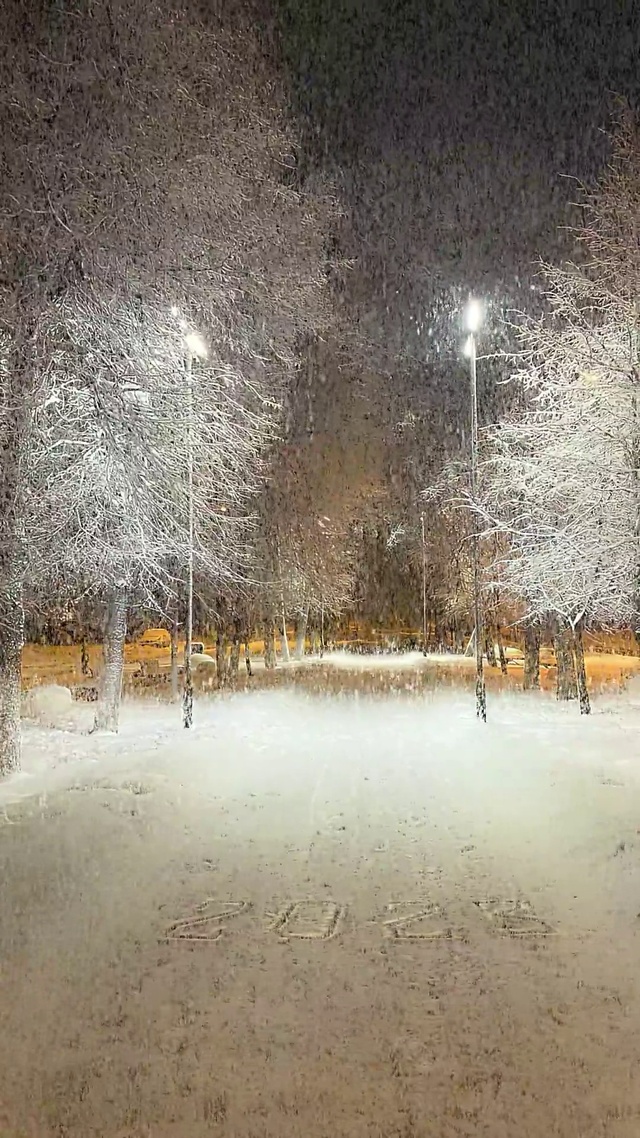 夜晚下雪壁纸