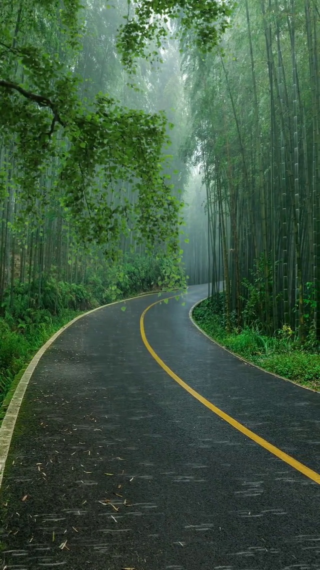 不喜欢下雨天，但喜欢听雨声