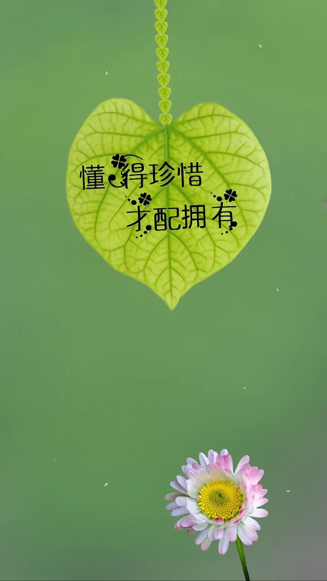 新手5×5